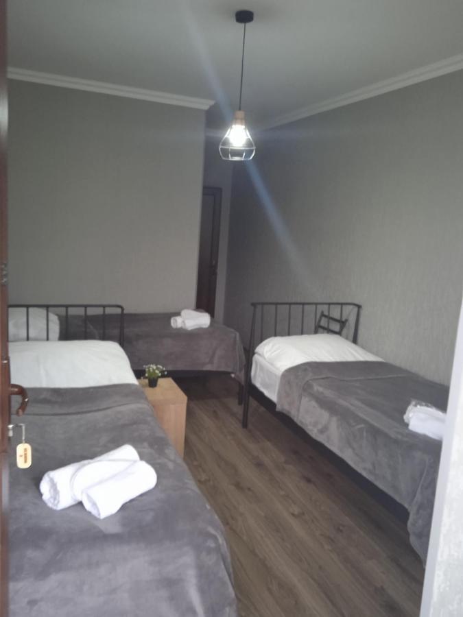 Elsada Ξενοδοχείο Kazbegi Εξωτερικό φωτογραφία